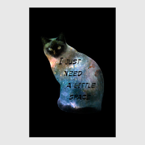 Постер Котик космический