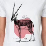  Ruminant