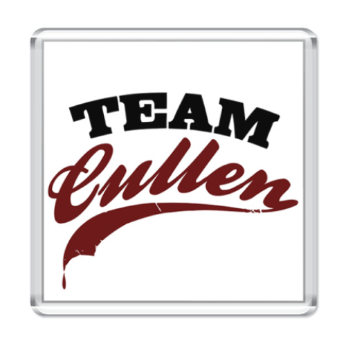 Магнит Team Cullen
