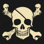 пират череп кости pirate