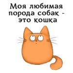 Любителям котов