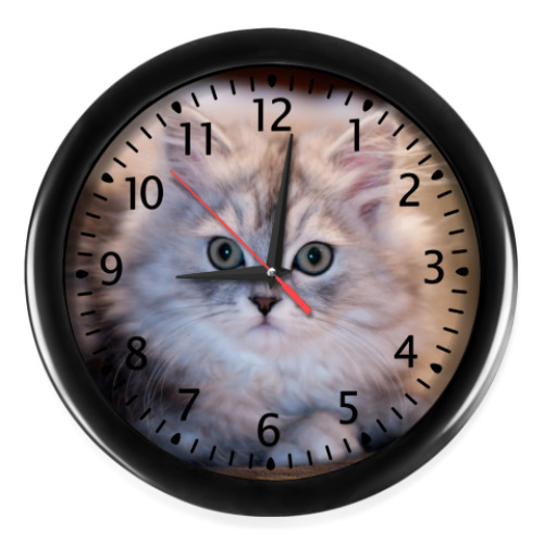 Настенные часы  Кот