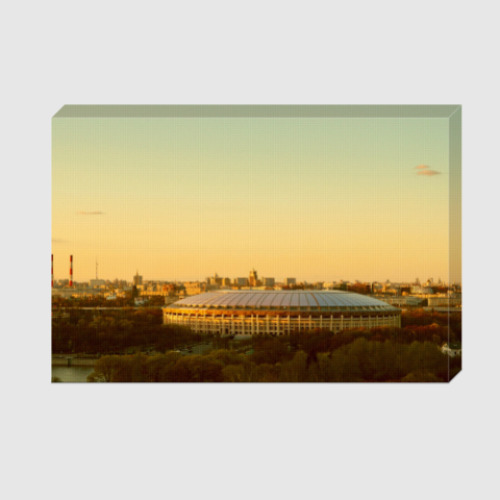 Холст Стадион «Лужники»
