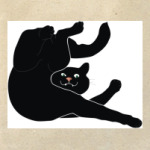 кот