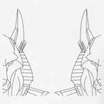 Anubis