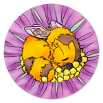 Пчёлокот - отдохни!