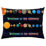 Welcome to the Universe