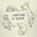 Master of Sleep