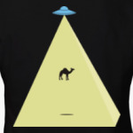 UFO. НЛО. Camel. Пирамида.