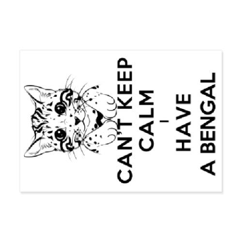 Виниловые наклейки Can't keep calm i have a bengal