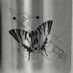 Бабочка и геометрия