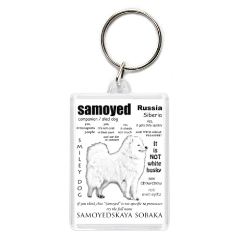 Брелок FAQ. Adult Samoyed