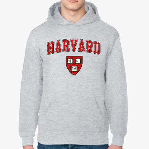 Толстовка худи Harvard