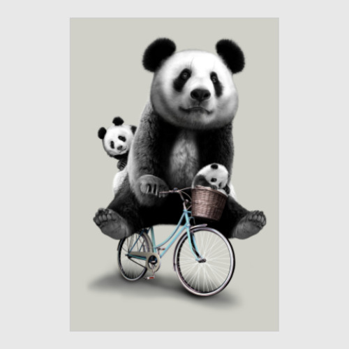 Постер Панды на велосипеде
