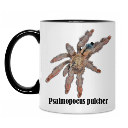 Кружка Pulcher