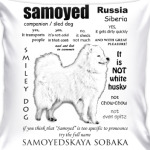 FAQ. Adult Samoyed