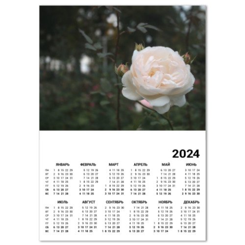 Календарь Белая роза