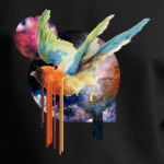 Astro