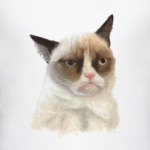 Grumpy Cat