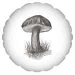 Гриб