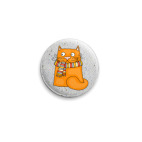 рыжий кот