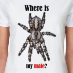 Where is my male?