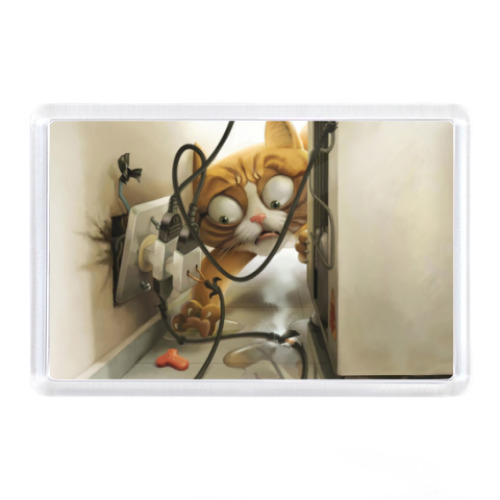 Магнит Котик