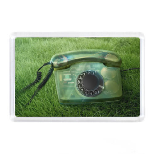 Магнит Телефон на траве