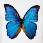 Бабочка BLUE