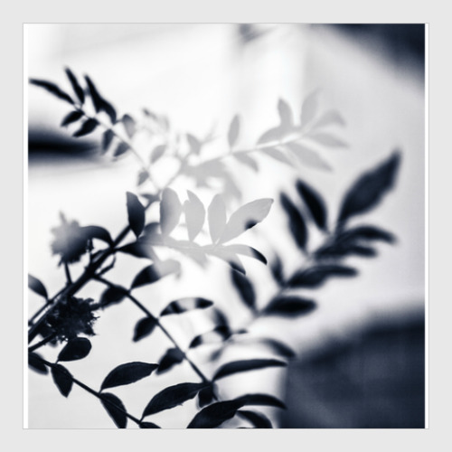 Постер Black leaves