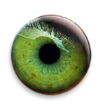  'Зелёный глаз'