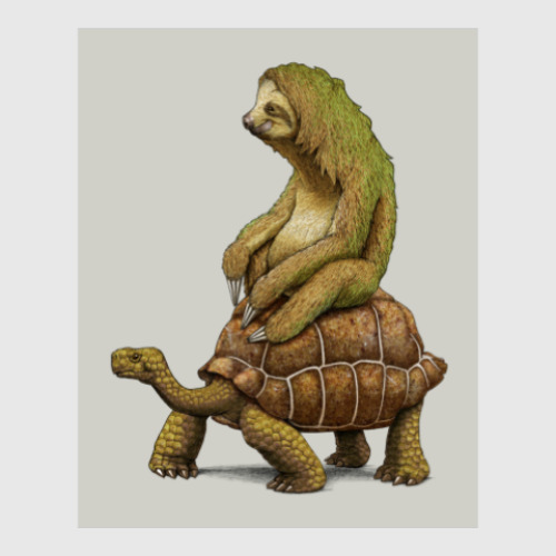 Постер Ленивец на черепахе