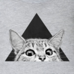 Кот в треугольнике