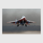 МиГ-29 'Стрижи'