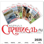 Логотип журнала 'Спаниель'