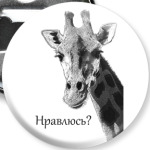 Жираф