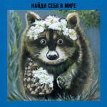 Енот