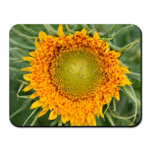 Коврик для мыши Sunflower