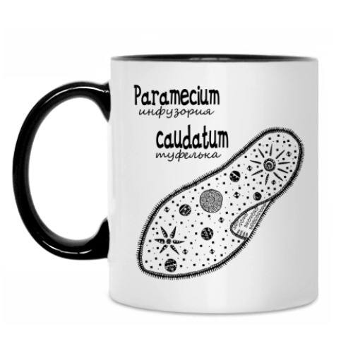Кружка Paramecium&Euglena